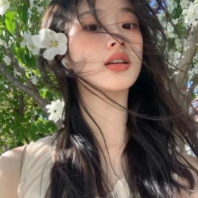 警察与女兵国语